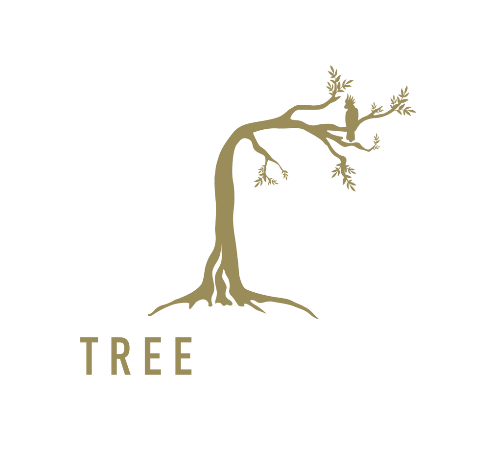TreeCulture TreeCulture logo – the tree care specialists in Northern Rivers